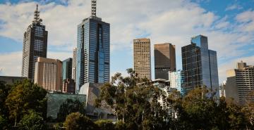 View through trees of high rise buildings